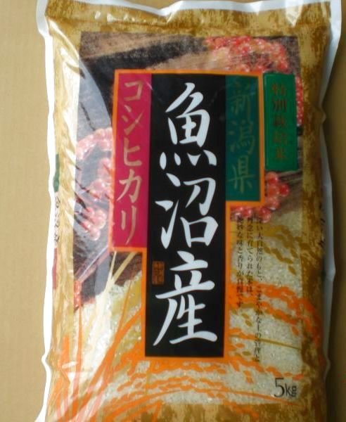 画像1: お中元,ご贈答,令和６年産,魚沼産コシヒカリ,５ｋｇ,特別栽培米,５ｋｇ,特A, 銘柄米,ブランド米,減農薬栽培,魚沼こしひかり,魚沼産こしひかり,魚沼米,お米,５ｋｇ 美味しいお米  (1)