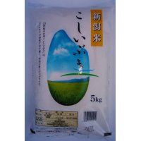 新米 令和６年産 こしいぶき ５ｋｇ 美味しいお米 新潟米 こしいぶき