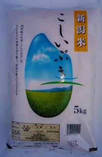 新米 新潟米 令和６年産 こしいぶき  5ｋｇ 「こしいぶき」 5ｋｇ  お米 美味しい  新潟米 白米 5ｋｇ「こしいぶき」 美味しい 新潟米  米 こしいぶき 白米 精米 安い お米 おこめ 米 5ｋｇ コシヒカリではありません。 お試し米 こしいぶき