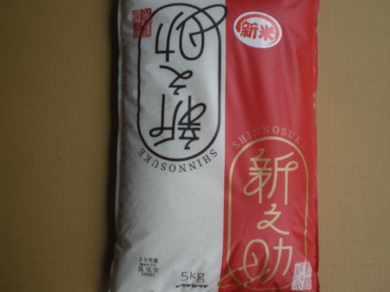 平成２９年度より販売が始まった　新之助　新潟米　新ブランド米　大粒で　新潟県産米　ほのかな甘み　美味しいお米　５ｋｇ　モチモチ